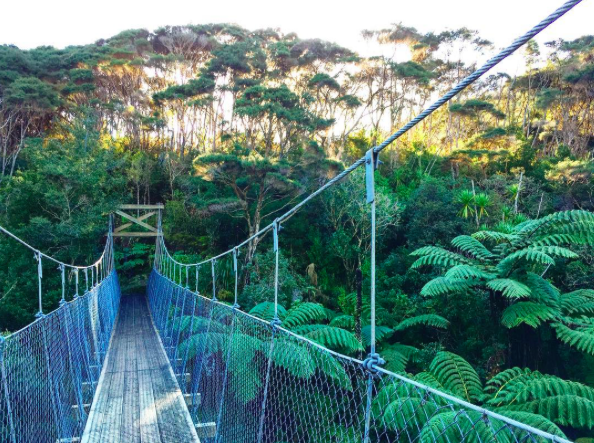 goldie-bush-walkway