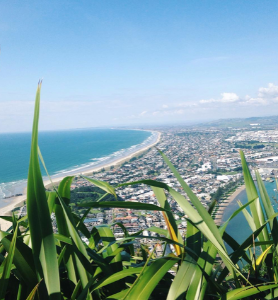 Tauranga