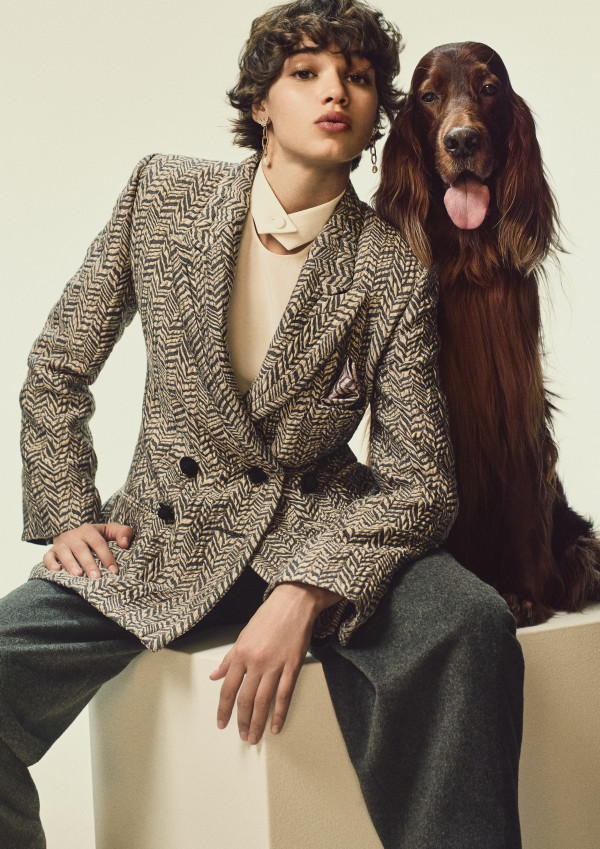 Armani clearance dog clothes