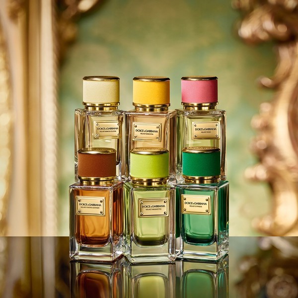 Dolce &amp;amp;amp;amp;amp;amp;amp;amp;amp;amp;amp;amp;amp;amp;amp;amp;amp;amp;amp;amp;amp;amp;amp;amp;amp;amp;amp;amp;amp;amp;amp;amp;amp;amp;amp;amp;amp;amp;amp;amp;amp; Gabbana Fragrance