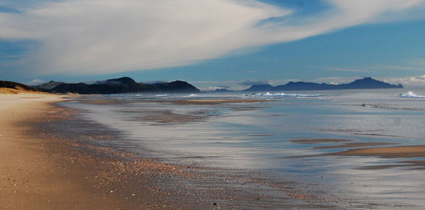 mangawhai-beach