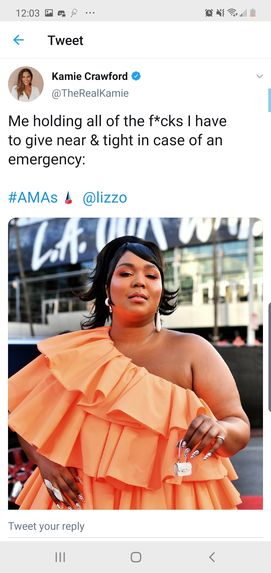 Lizzo's tiny purse memes after AMAs leave the singer in fits