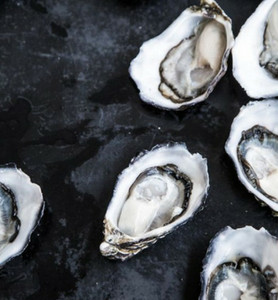 Oysters