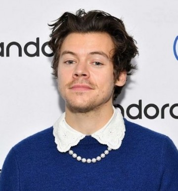 harry styles calm app