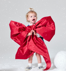 silverstripe thumbnail 10 v4