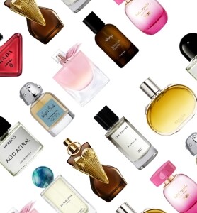 silverstripe thumbnail 10 v6