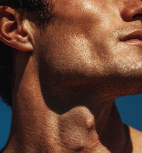 silverstripe thumbnail 11 v7