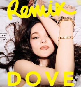 silverstripe thumbnail 3 v27