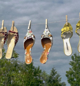 silverstripe thumbnail 31 v5