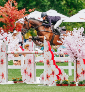 silverstripe thumbnail 35 v3