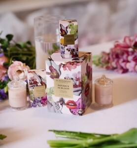 silverstripe thumbnail 4 v24