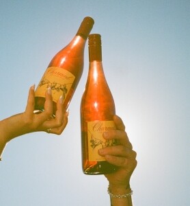 silverstripe thumbnail 5 v14