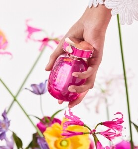 silverstripe thumbnail 9 v7