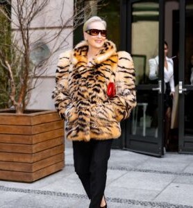 silverstripe thumbnail v3253a642a8