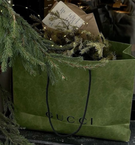 silverstripe thumbnail v48