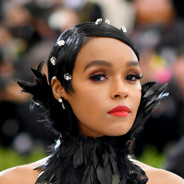 janelle-monae-met-gala-2017-best-beauty-looks